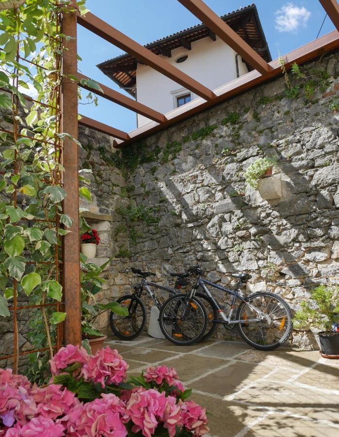 Apartmaji In Sobe Odlicna Hisa Štanjel Exteriér fotografie